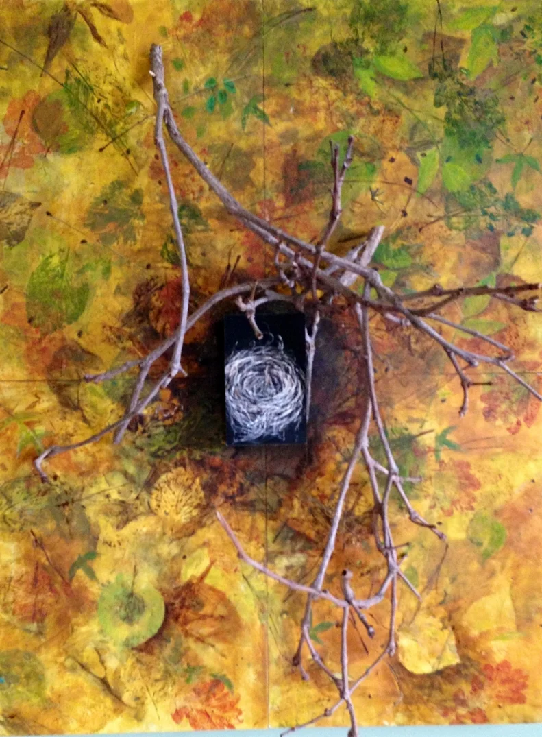 Animal Architecture Series (2005)