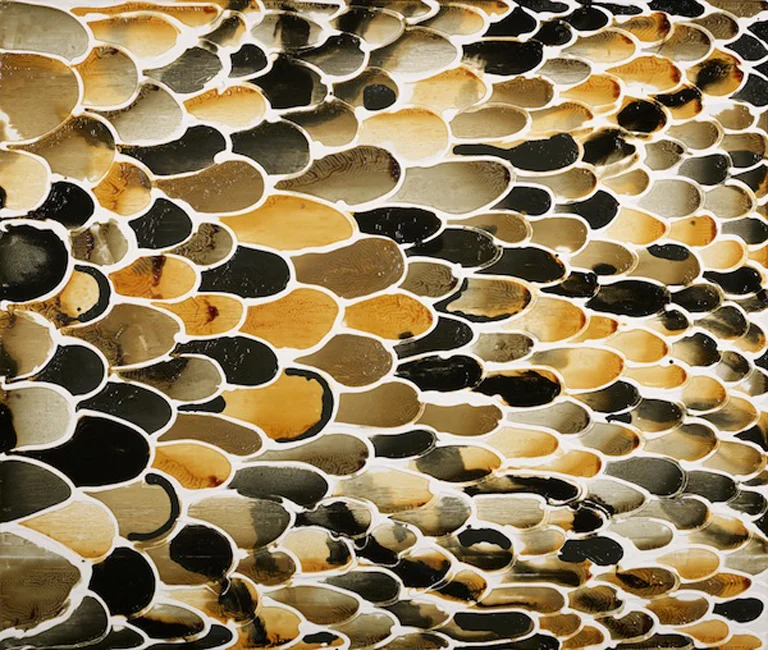 Yellow-Fish.jpeg