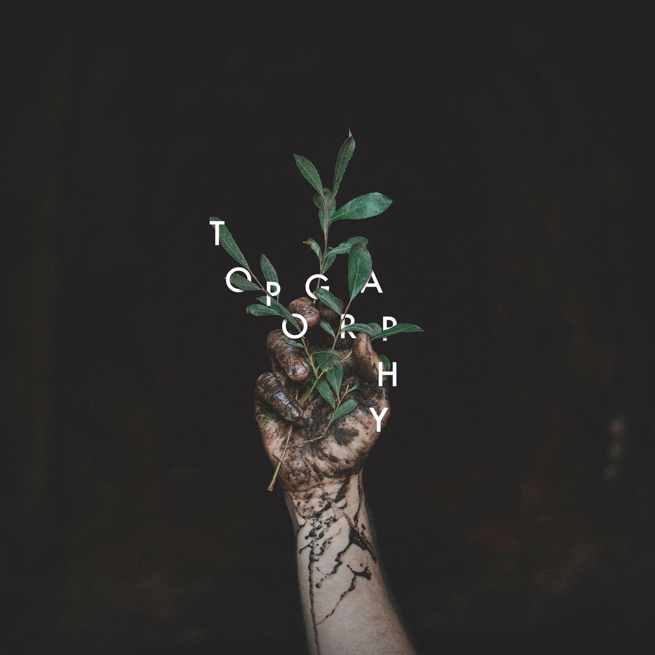 Album Cover.jpg