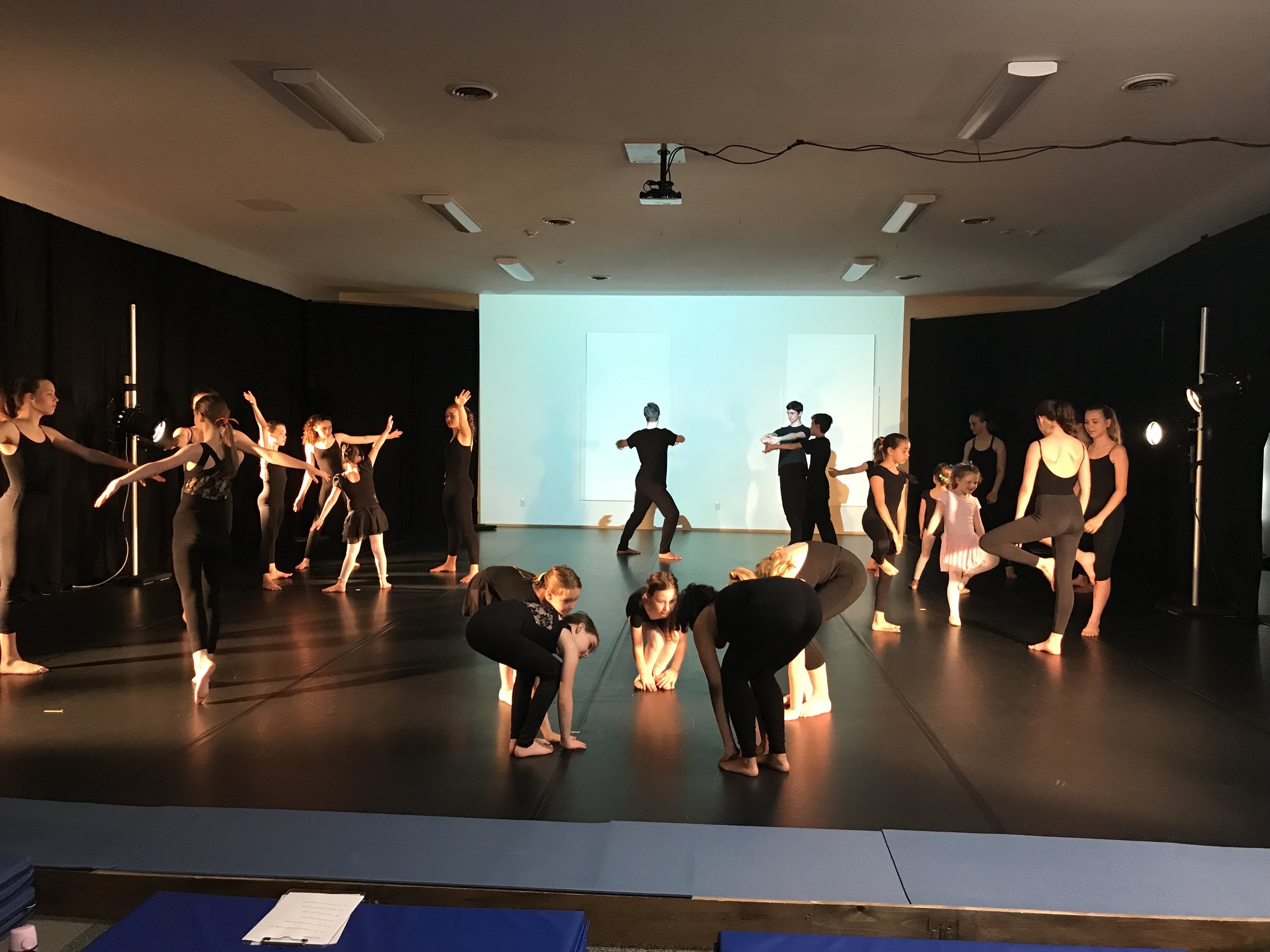 IMG_0313(1).jpeg