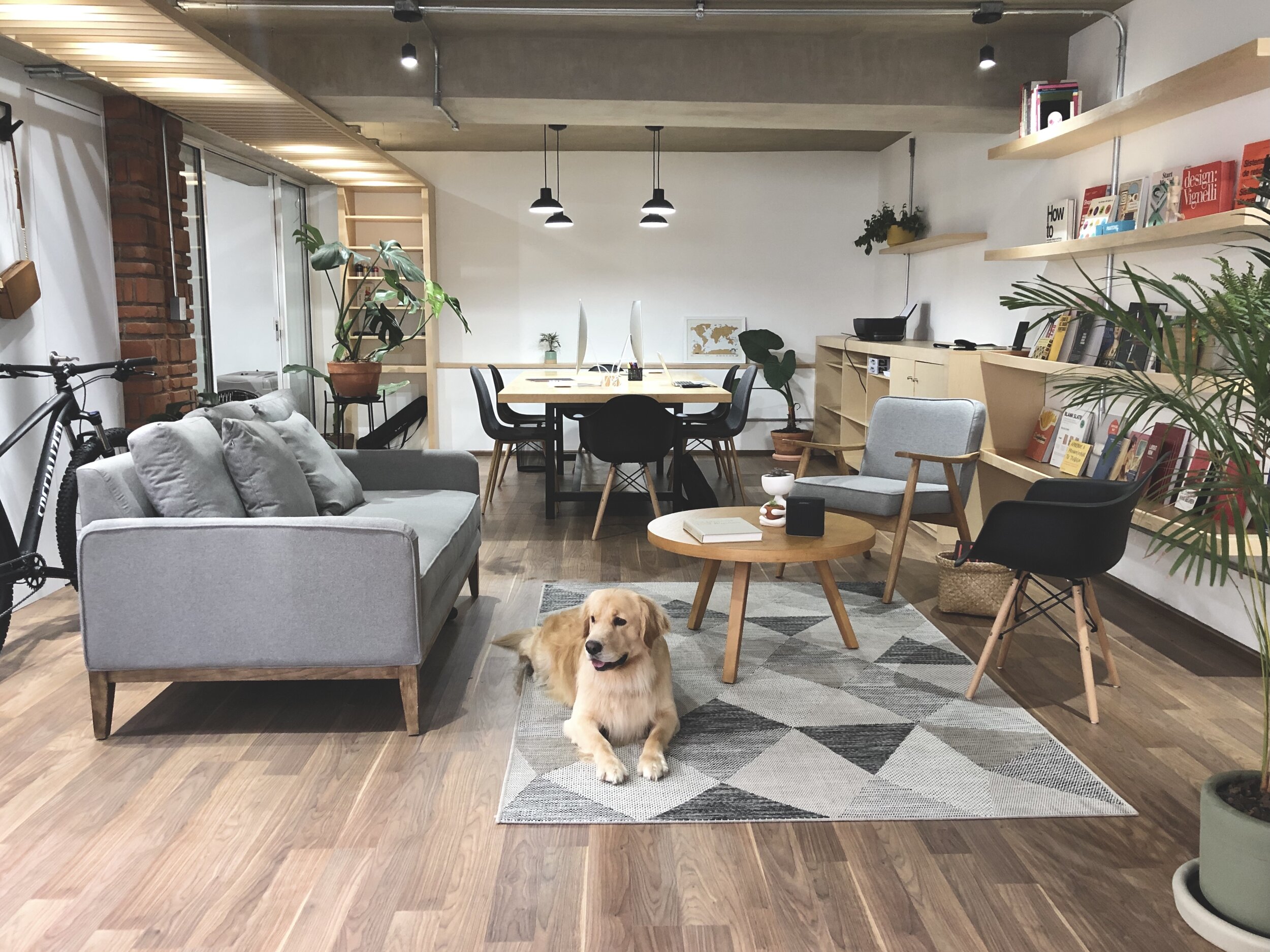 Interludio / Marzo 2018 / México