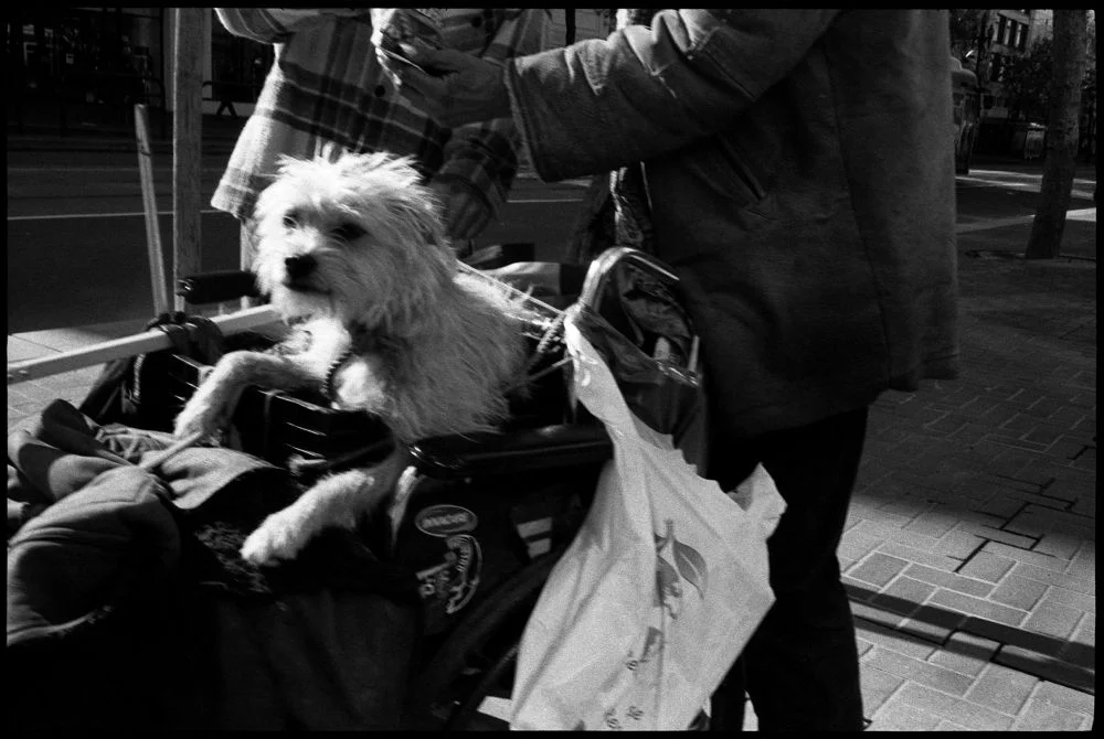 #0435_30A - Drug Deal & Dog, Mid-Market Street. San Francisco, CA. March 2016. Leica M2, Zeiss 35mm f/2, Ilford HP5 400.