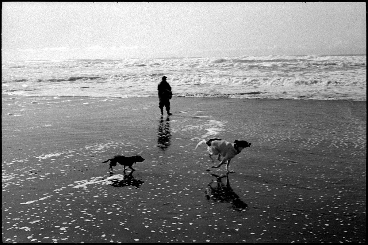 No. #0419_28A - Ocean Beach, San Francisco, Ca. January of 2016.