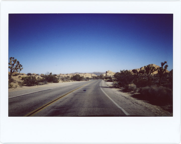 No. #20170127_07 Joshua Tree NP