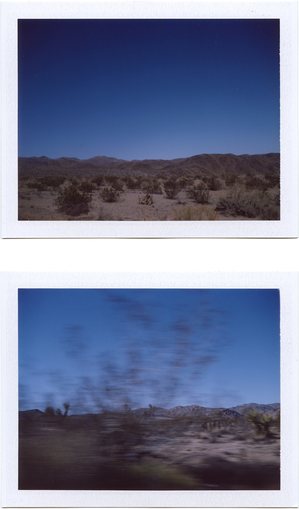  Joshua Tree National Park, California / 2013   Excerpts from the book  "Fragments"    Signed Copies   On Demand @Blurb   Online Shop  