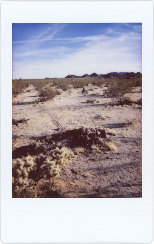 Joshua Tree NP