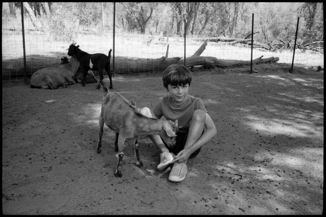 black and white photograph of a young boy with a small goat in mariposa california