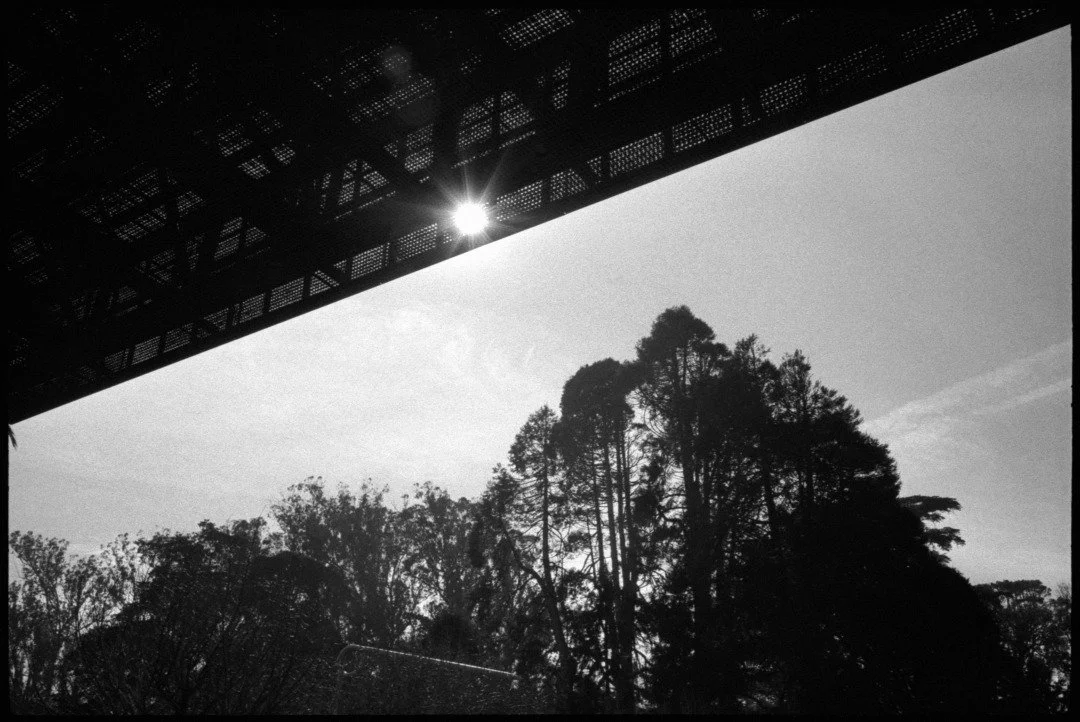 Black and white photograph of golden gate park in san francisco california