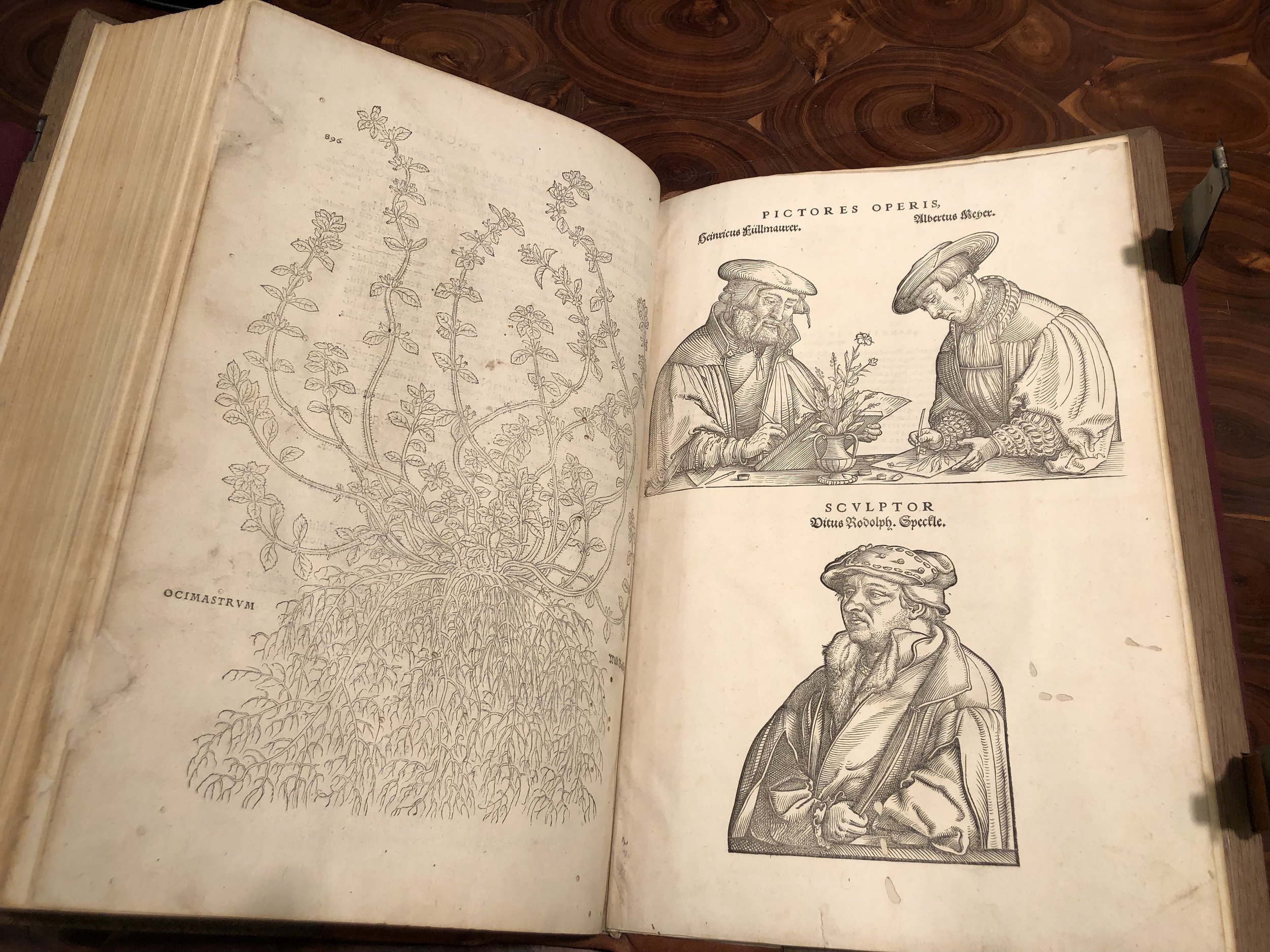 A book about Botany