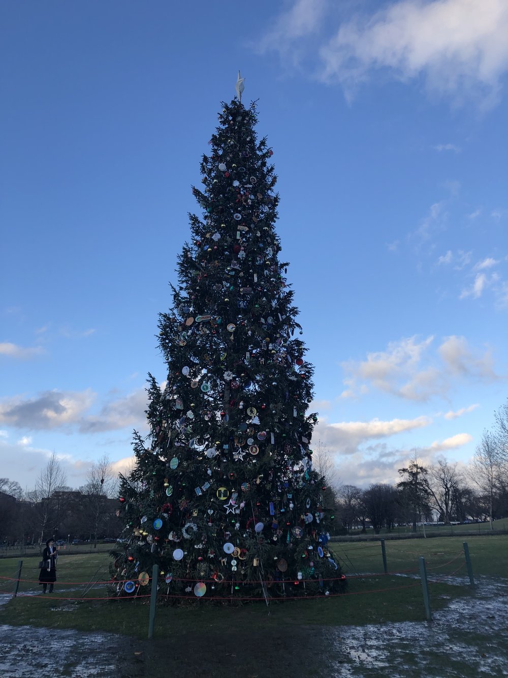 Capitol Christmas Tree