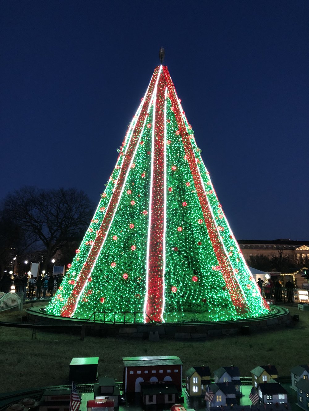 The National Christmas Tree