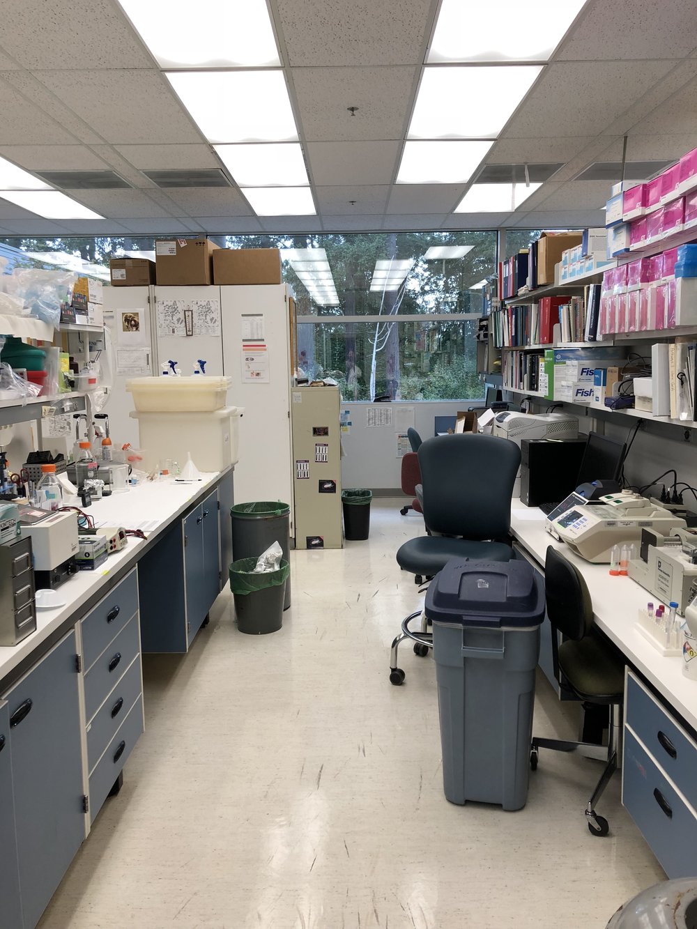 Copy of The Lab at OHSU