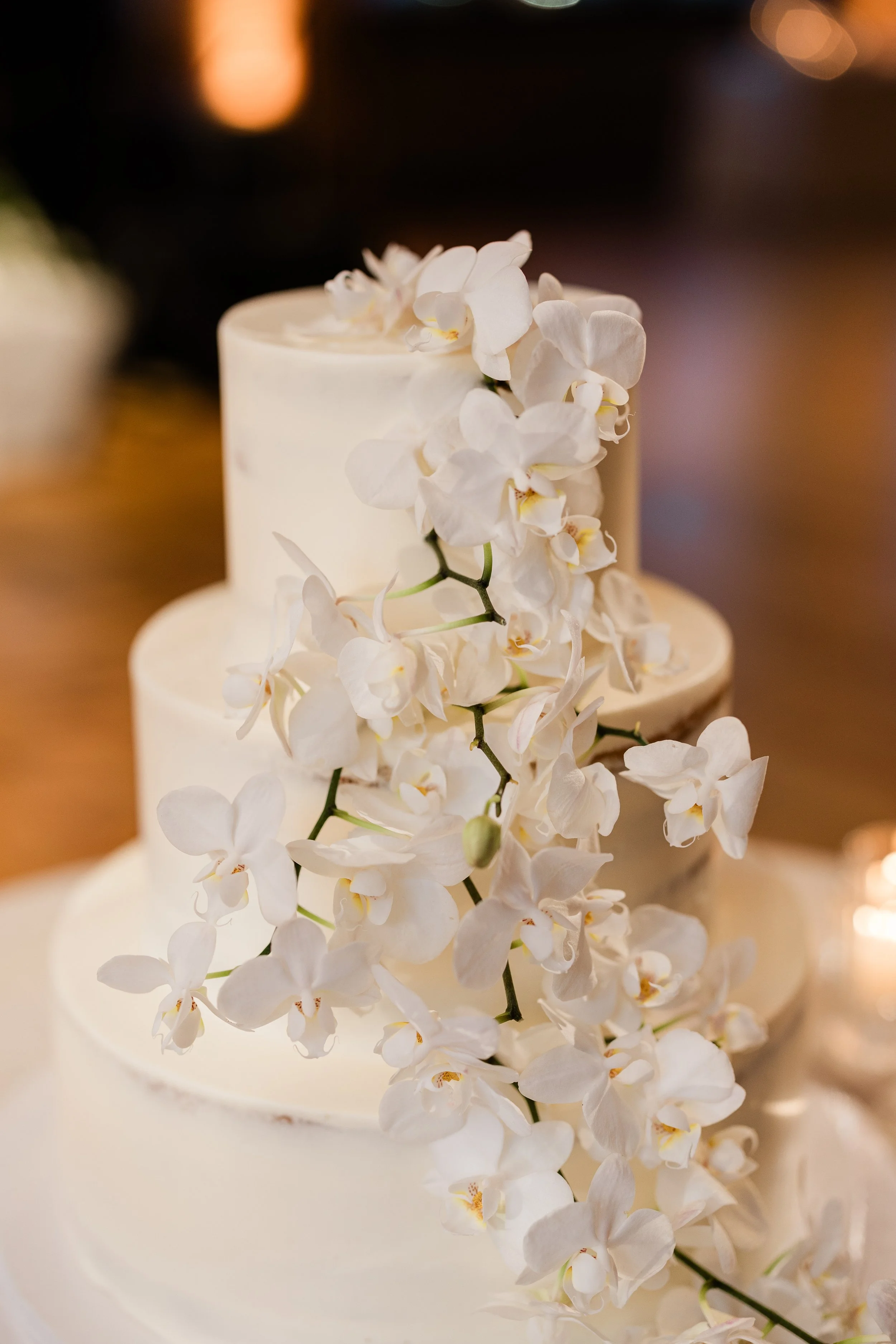 The Wedding of Kelly _2b Josh by Fox _2b Ivory-598.jpg