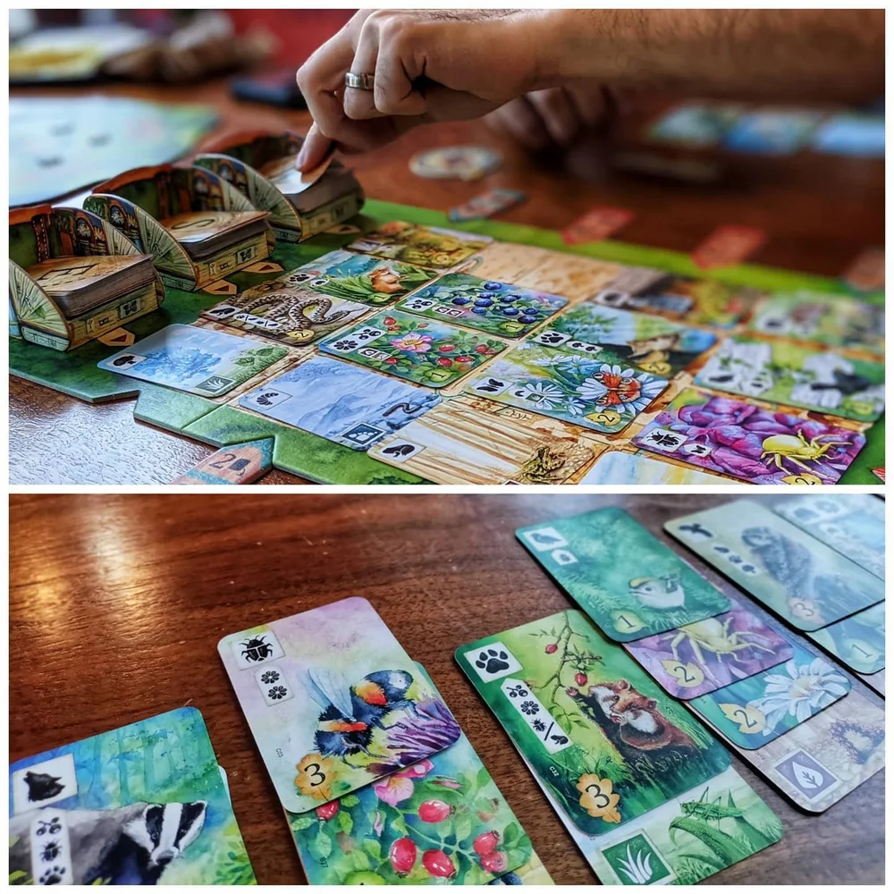 End of 2021 — Sapphire City