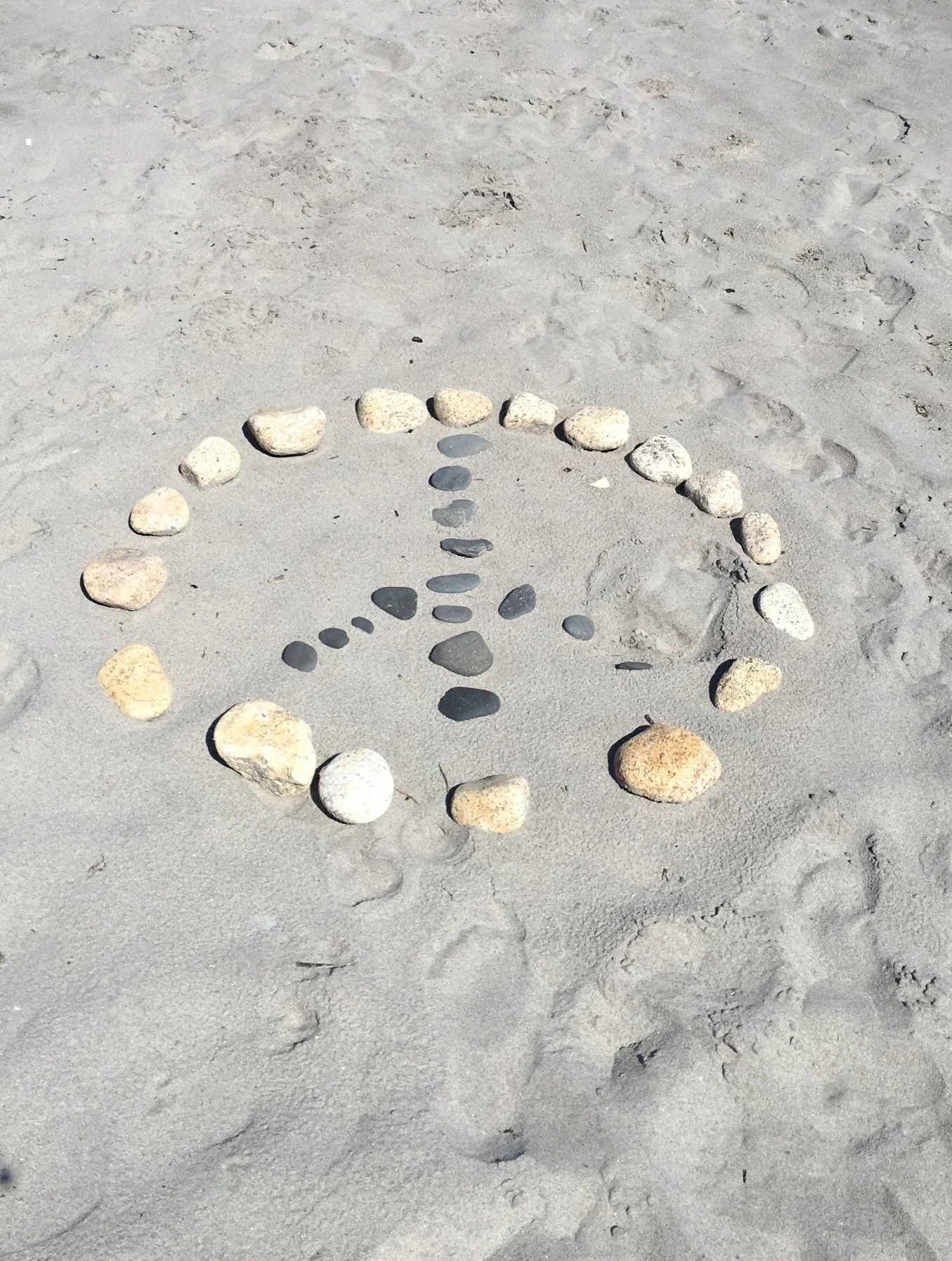 The five Reiki principals to live by are: Just for today, I will not be angry, I will not worry, I will be grateful, I will do my work honestly, I will be kind to all living things!