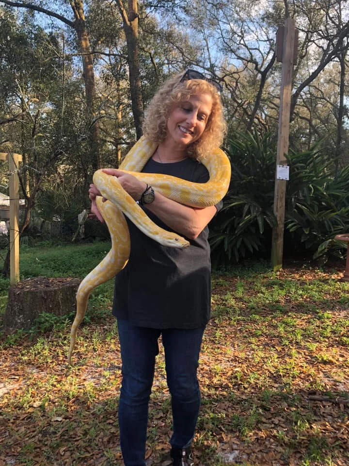 Meet Blondie the albino Python! Isn’t he beautiful! Reptile energy is so grounding. Very self-aware, centered and present. They know who they are. A very primitive energy. There is a feeling of honoring each others space, without threat, when you share Reiki with reptiles. #ancientwisdom #knowing #BePresent #honorspace #animalreikiteacher