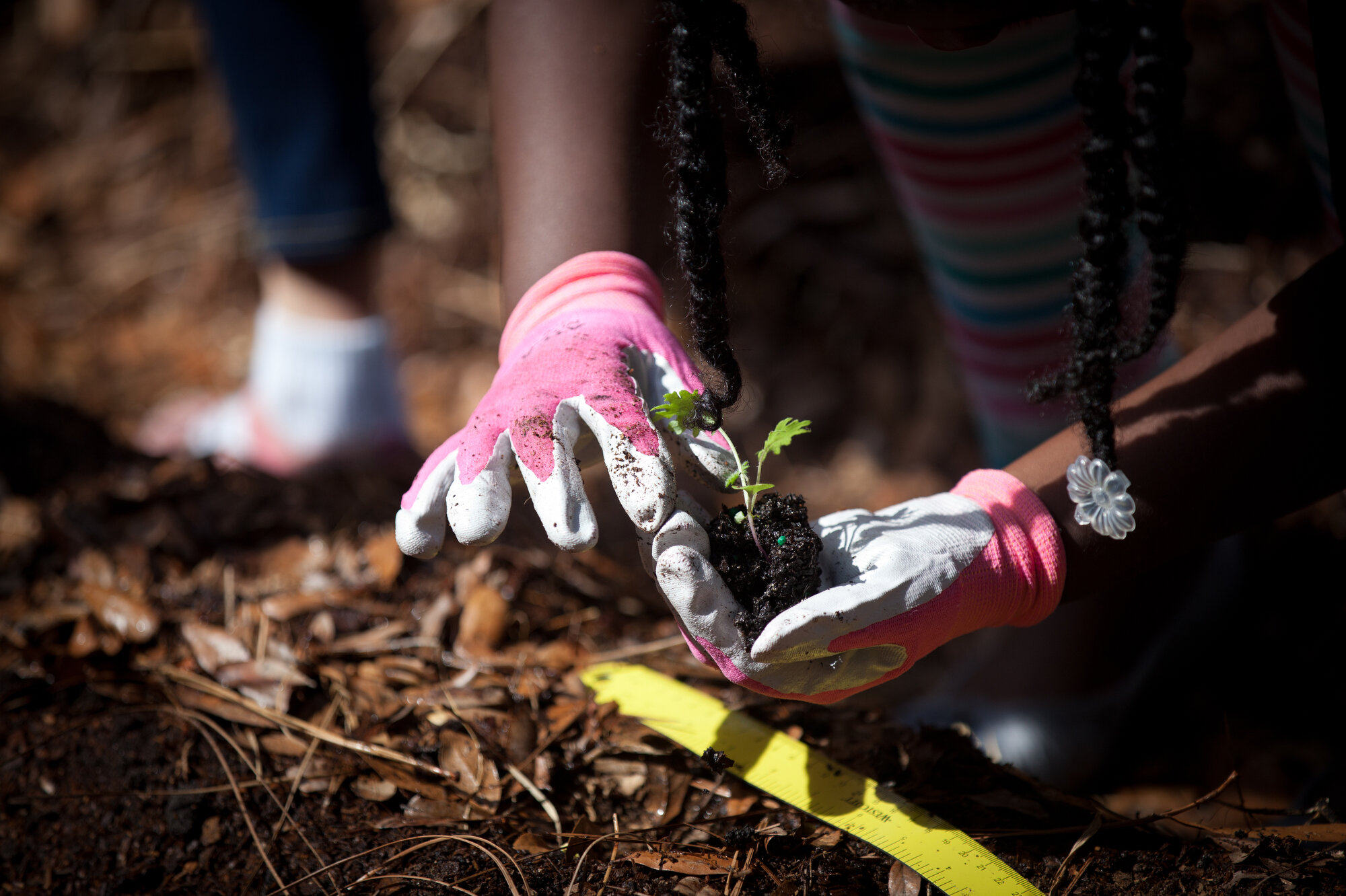 stewardship-gainesville-fl.JPG