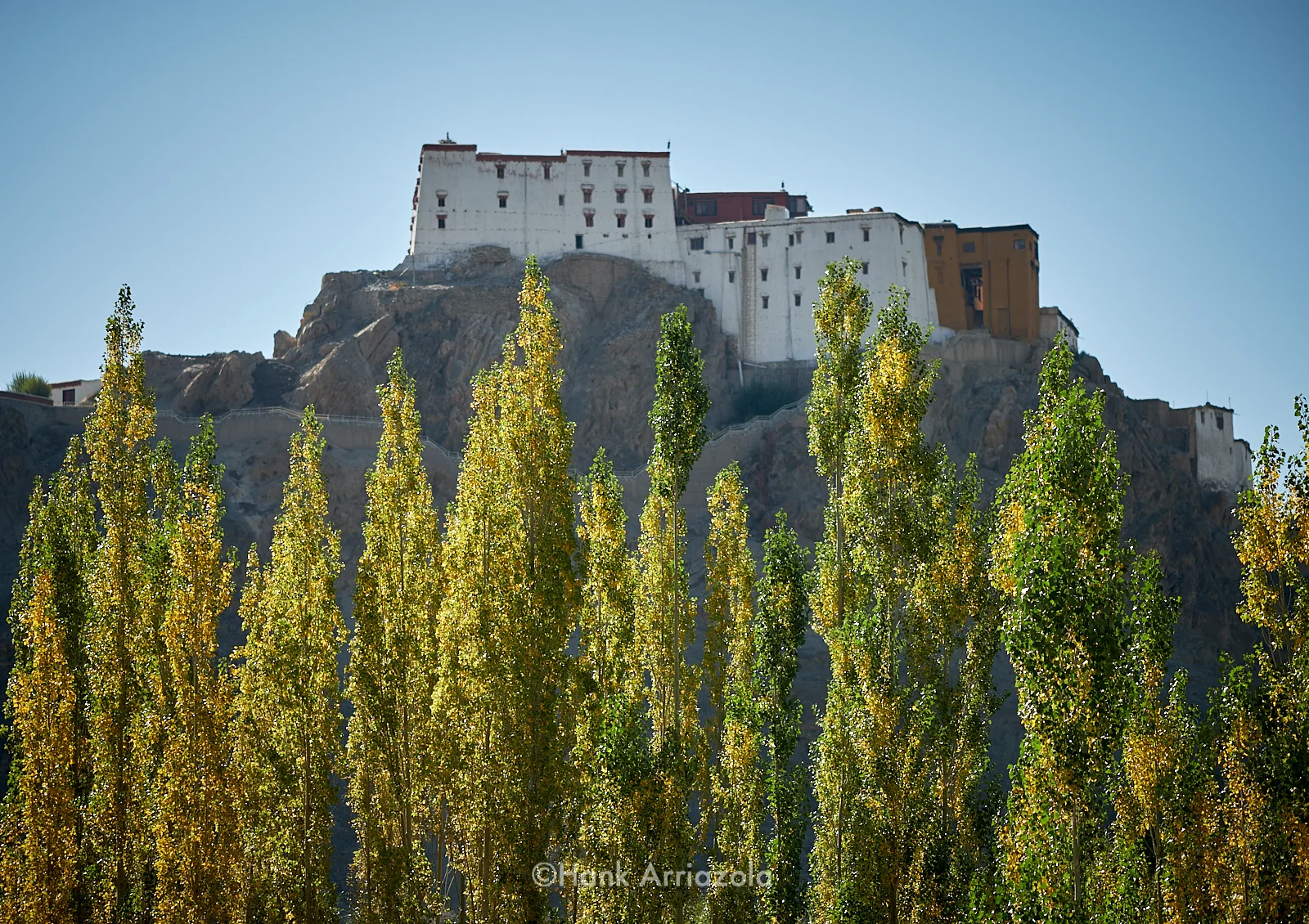 DSCF7351.jpg