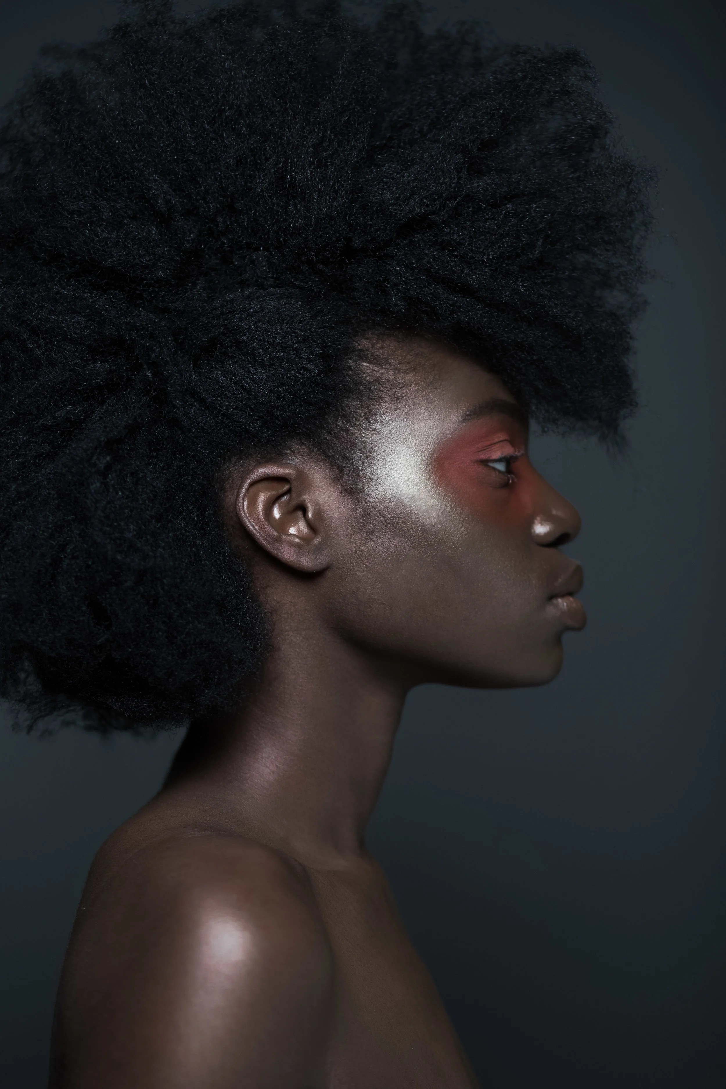 low res web tekia-2.jpg