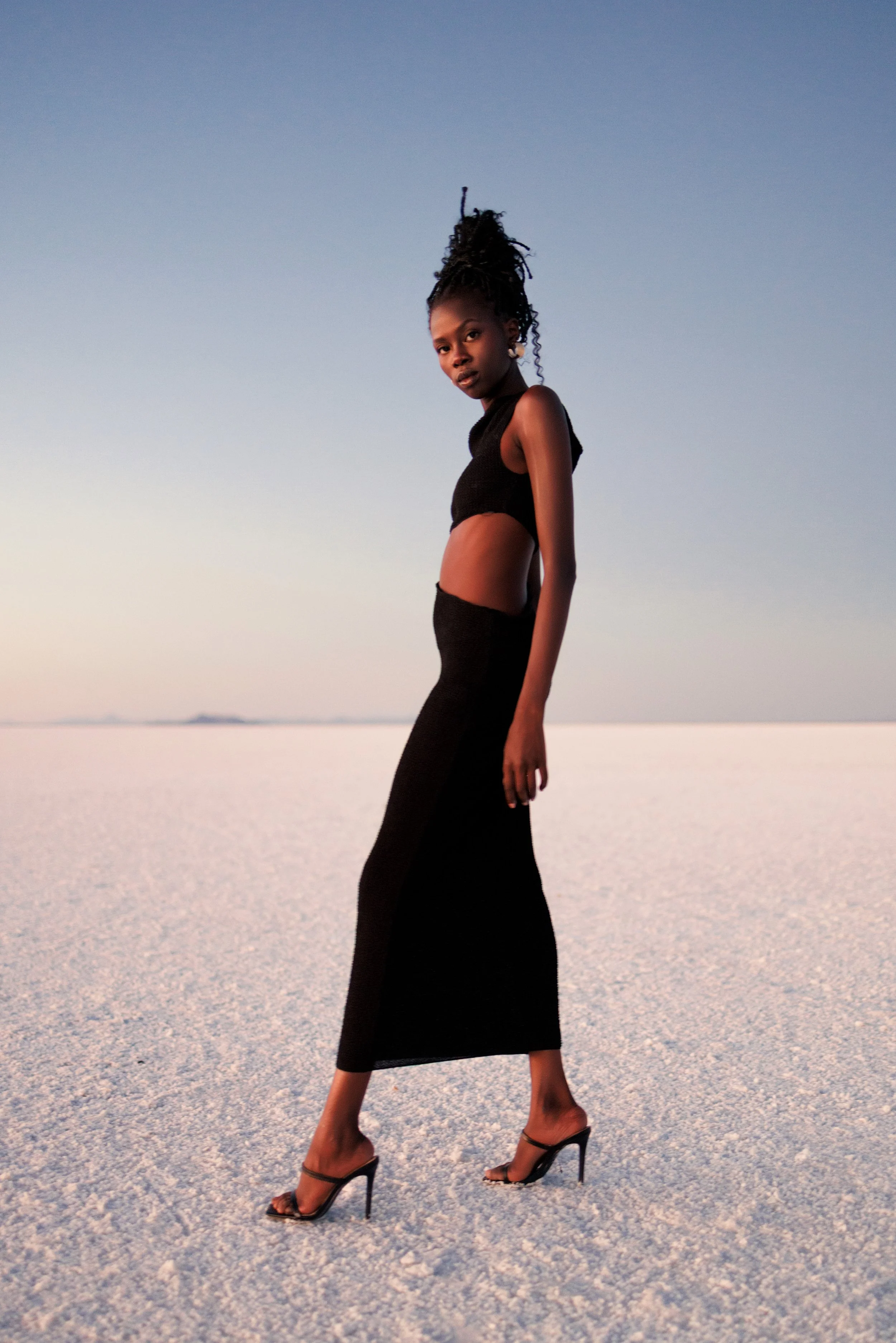 Twin Falme2090 1.jpg