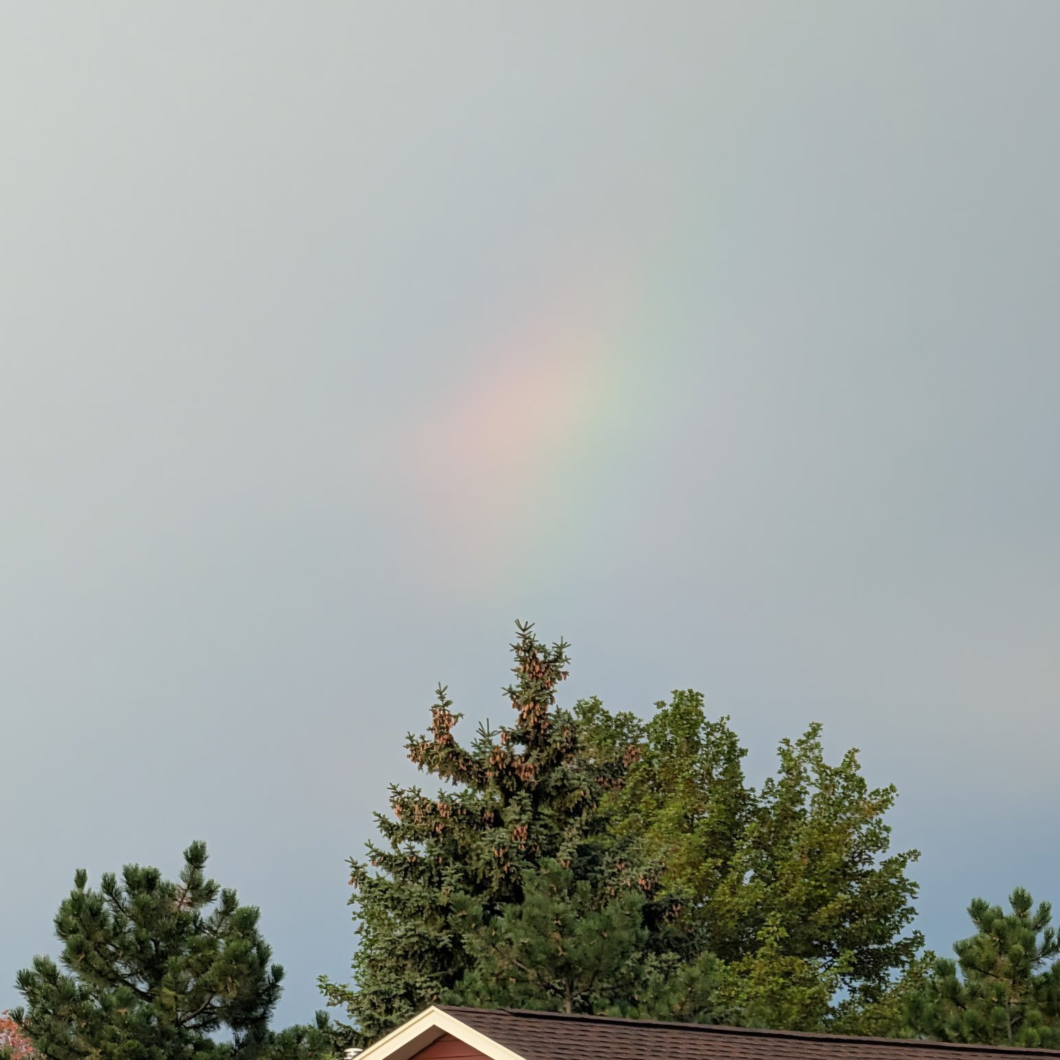 A rainbow over the finish line&mdash;and our goal exceeded! 🌈👟🦅💙

What an incredible day of community, faith, and joy at our annual Spirit Walk!

Just as our walk began, the rain parted and gave way to a stunning rainbow over our campus&mdash;a b