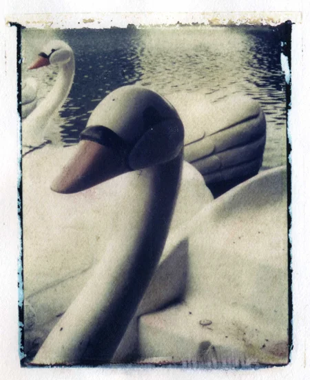 pola062.jpg