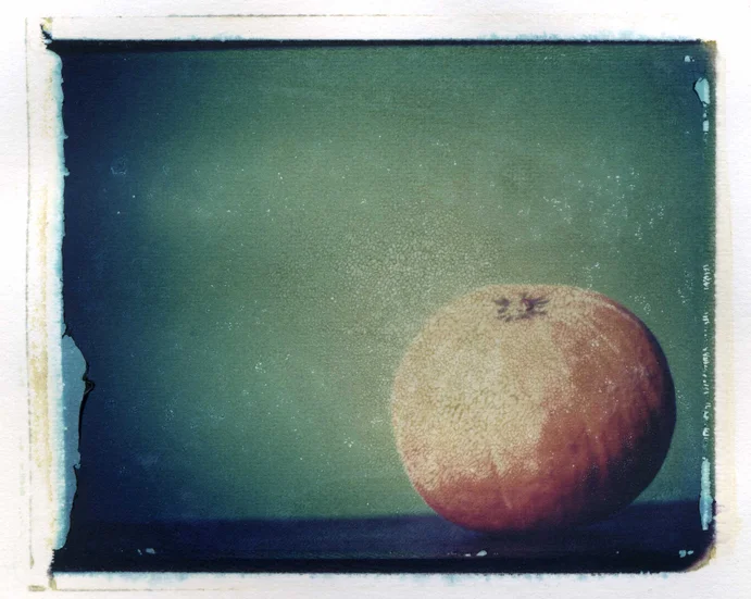 pola093.jpg