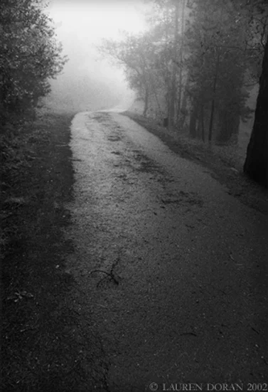 luminous pathcr.jpg