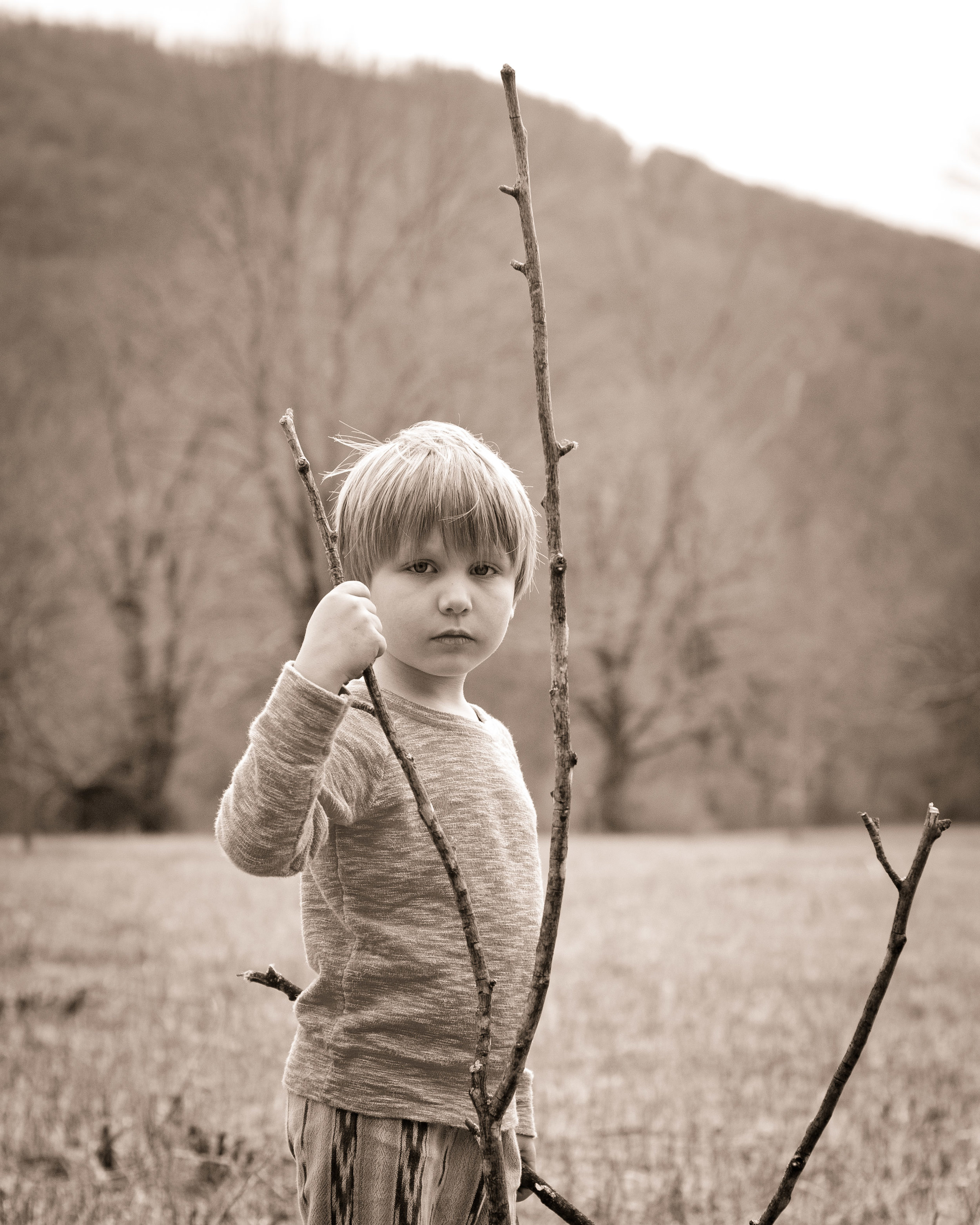 WALKING STICK 2017