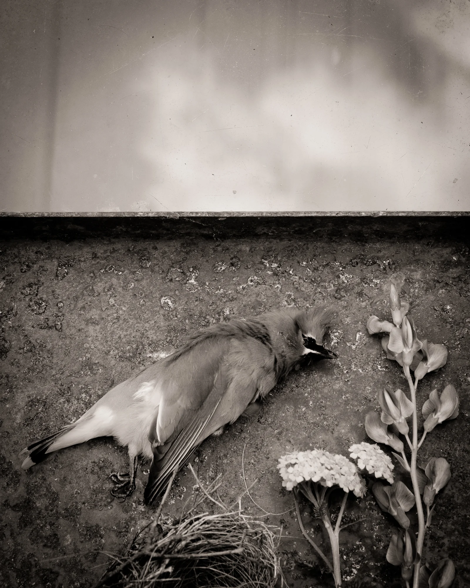 20150503untitled6-2-Edit.jpg