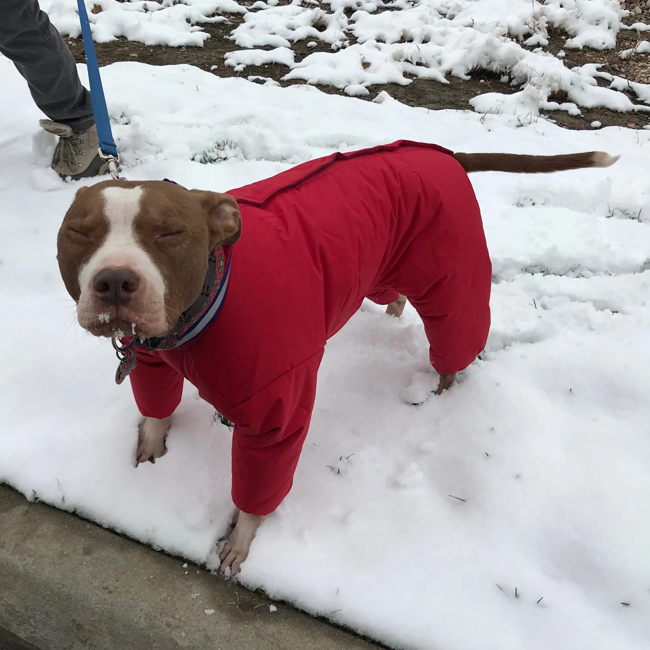 muttluks snowsuit canada