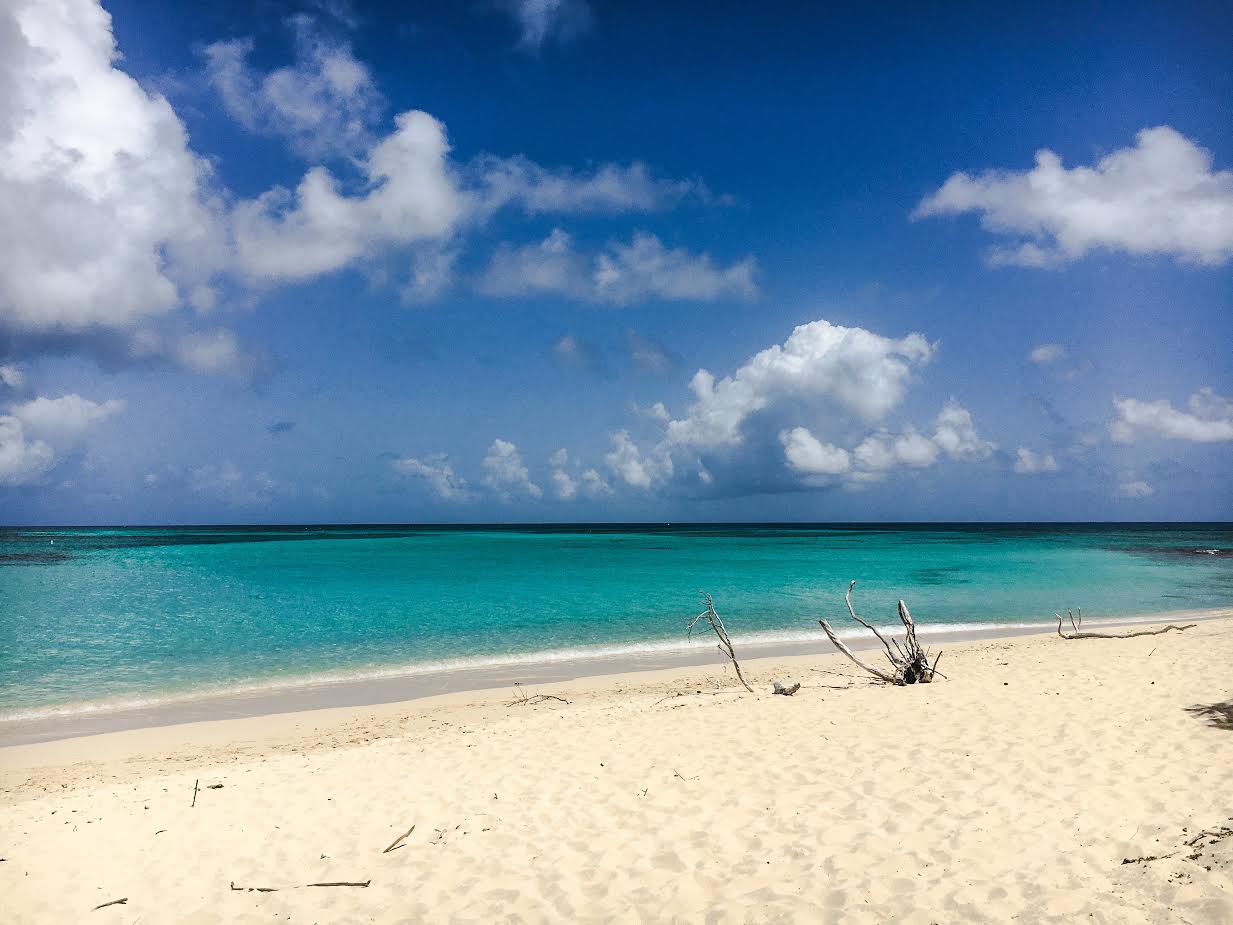 Buck Island