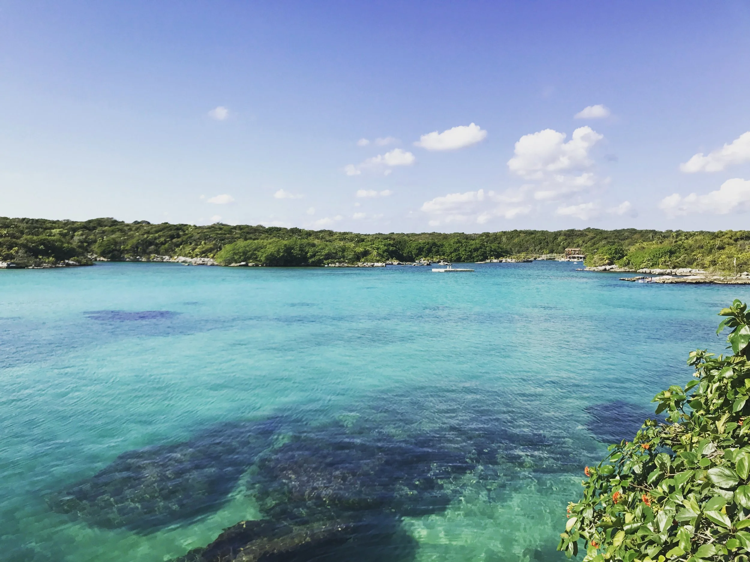 Party in Playa Del Carmen