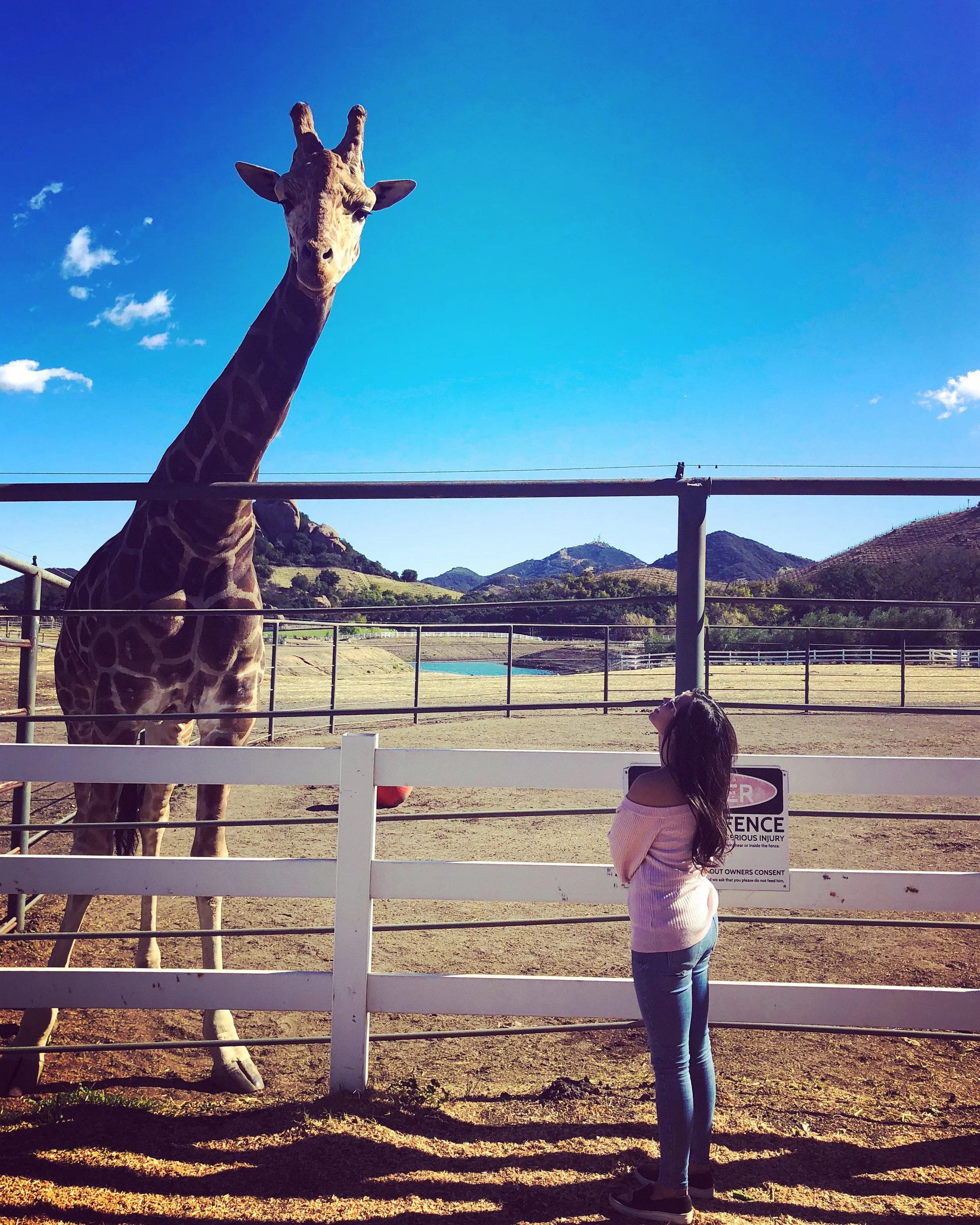 Girls Trip | Los Angeles 