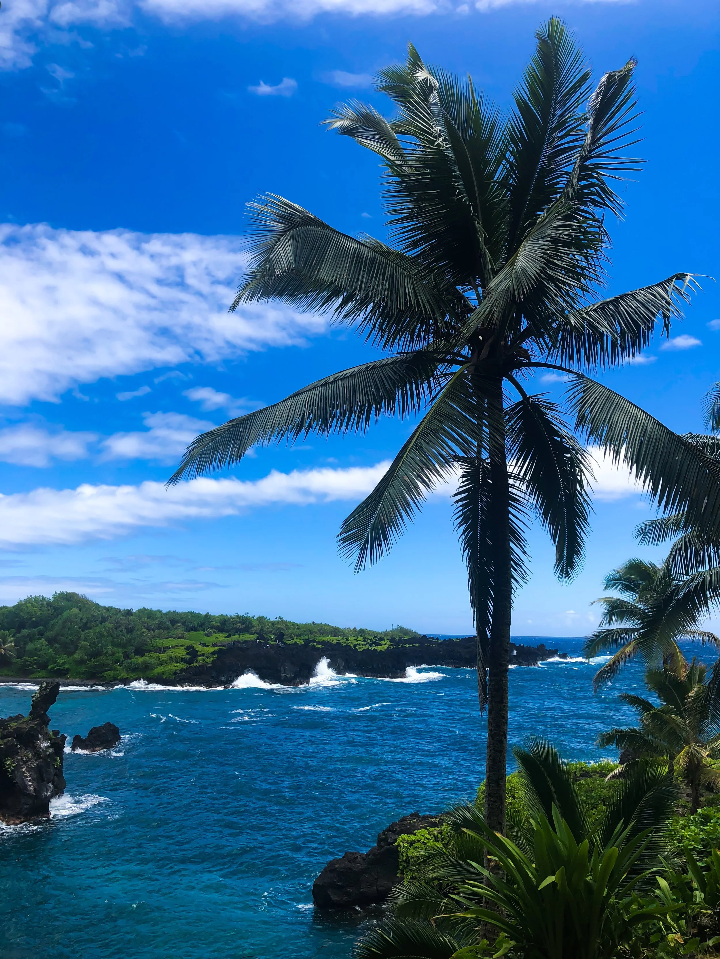 Family Travel | Maui