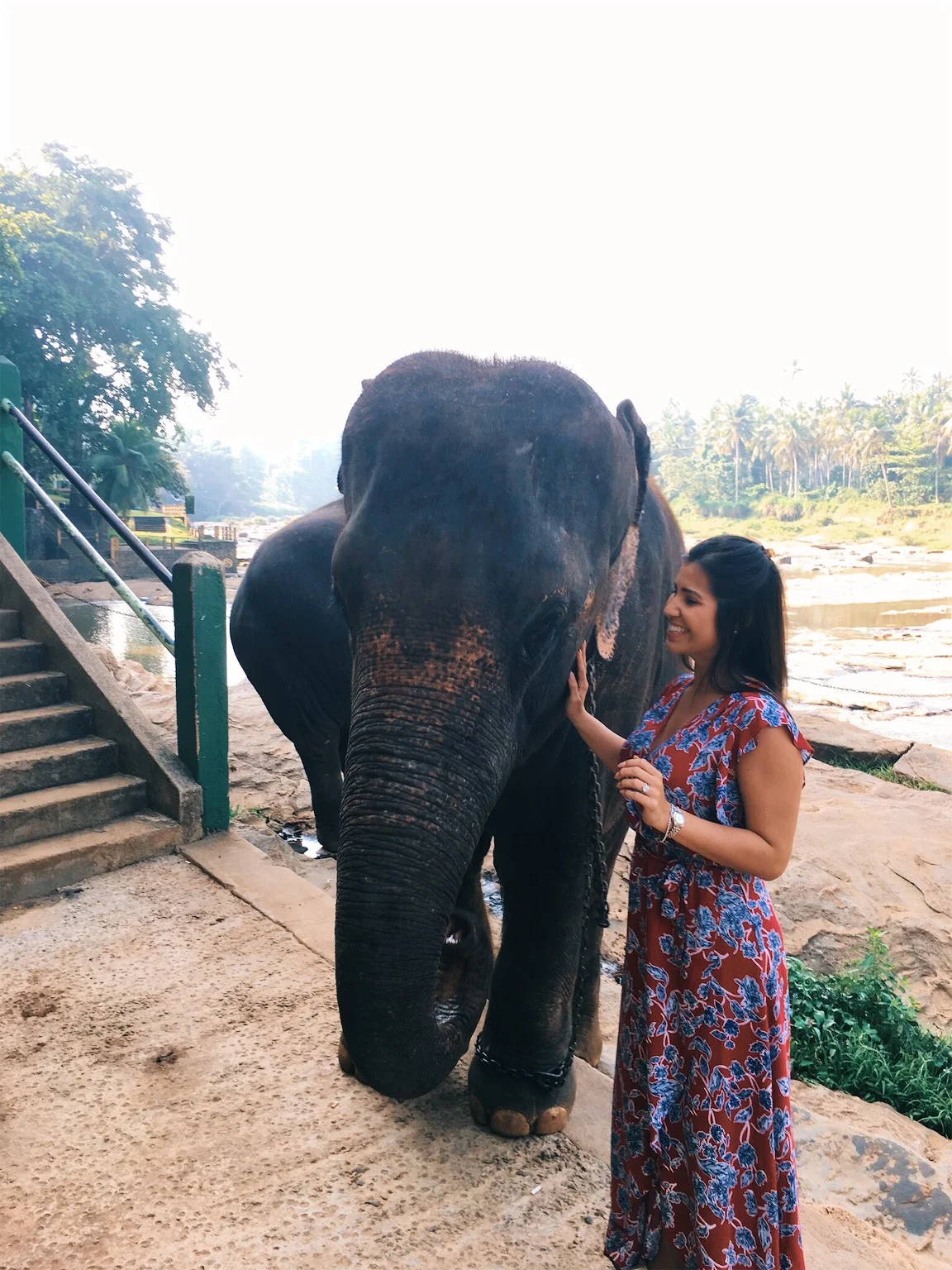 Elephant Park