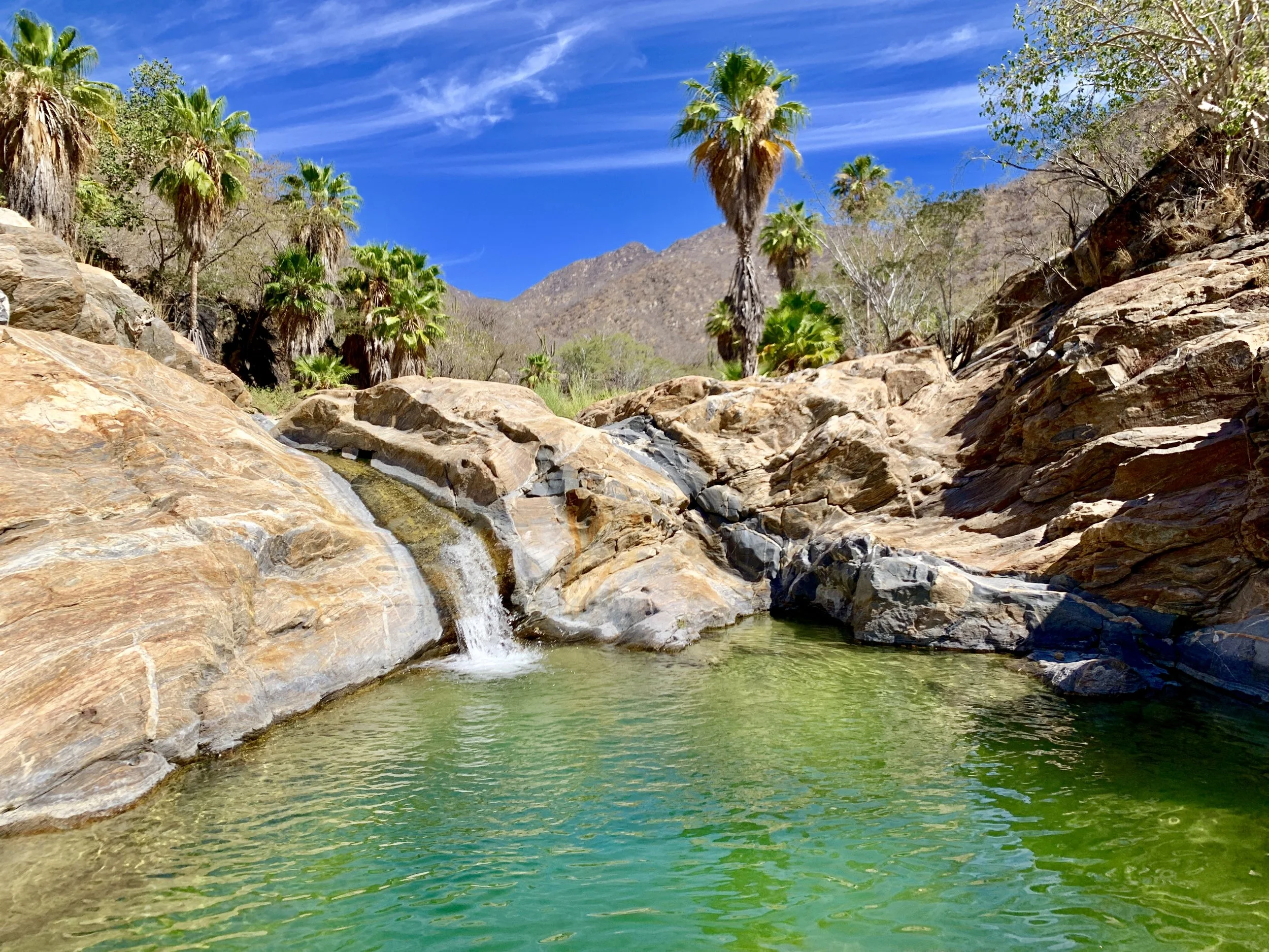 Cabo San Lucas | Mexico