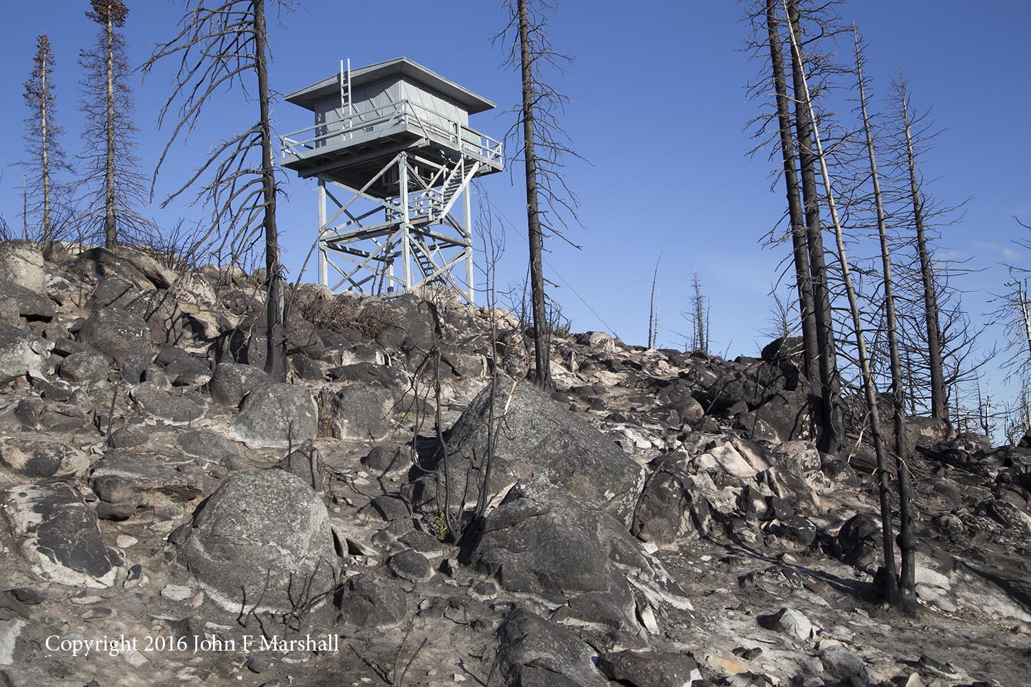 Fortunately fire-fighters were able to save this historic structure built in 1961. The fire burned really hot here as evidenced by the complete consumption of needles on the trees. Beaver Lake Fire 2015