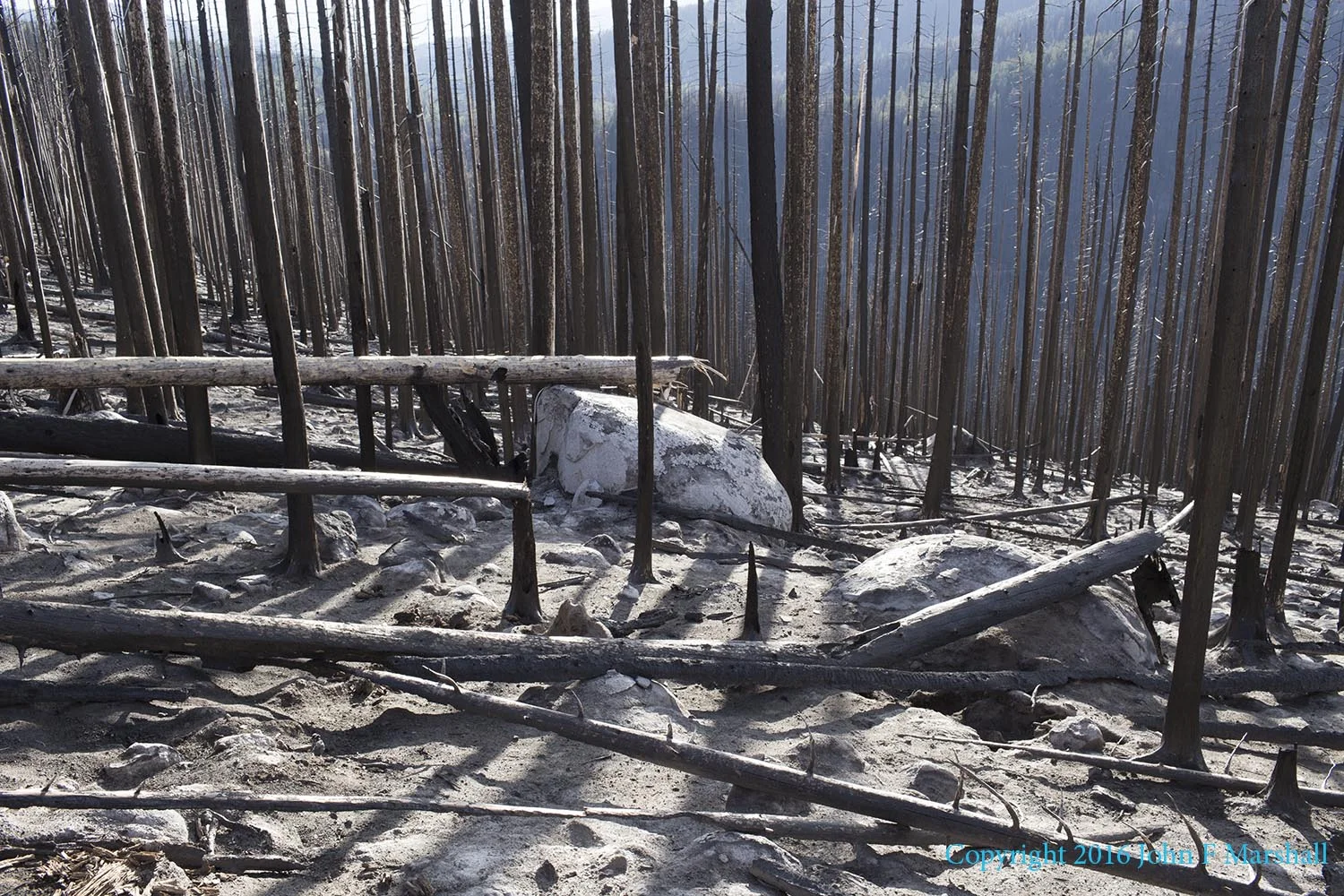 It is pretty stark looking, but it won't stay that way. Beaver Lake Fire 2015. 2016 photo