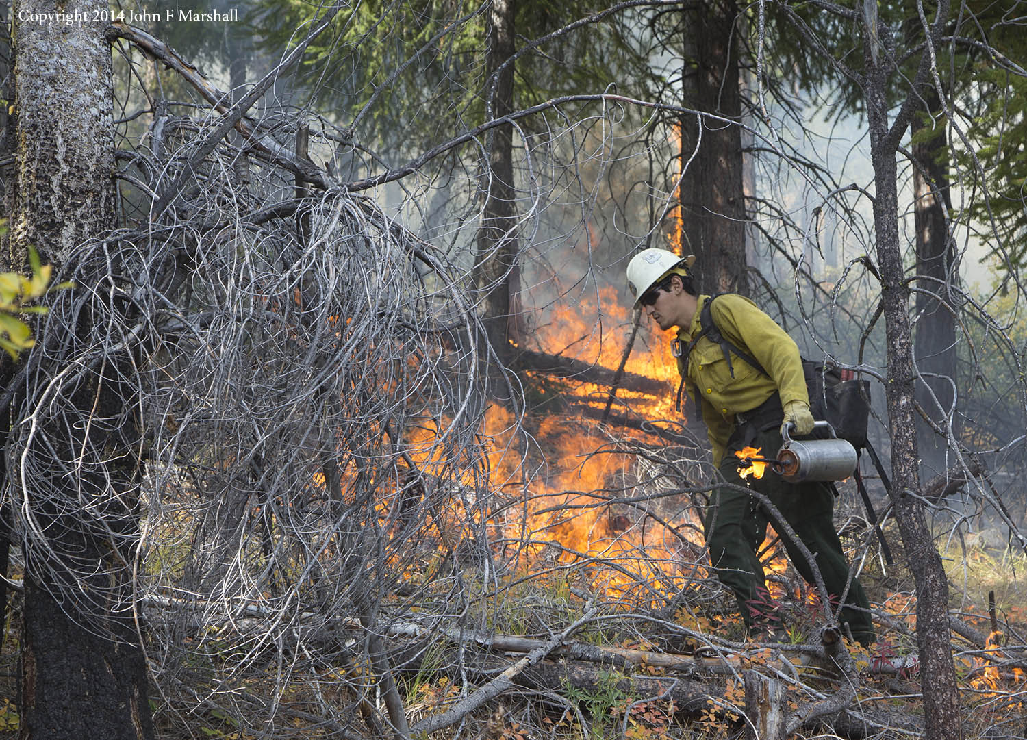 A member of the Chelan Initial Attack Crew putting fire on the ground.