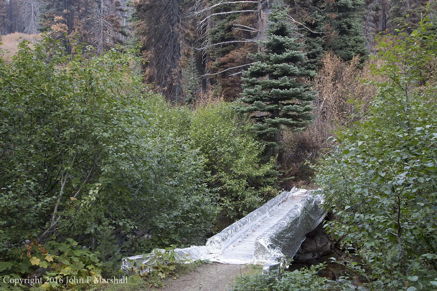 Bridge over the Chiwawa River wrapped for protection. This material is much heavier than ordinary aluminum foil. 
