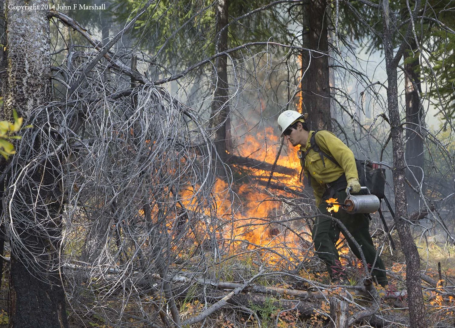 A member of the Chelan Initial Attack team traverses the hillside carrying a drip torch. What burns most easily will be consumed, and prevent a more serious fire later. 