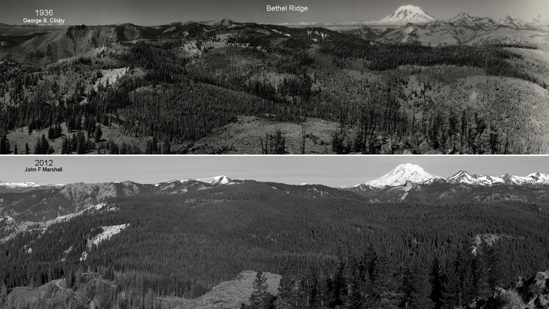 The black and white comparison makes evident, just how much more varied the landscape was in 1936, than in 2012. 