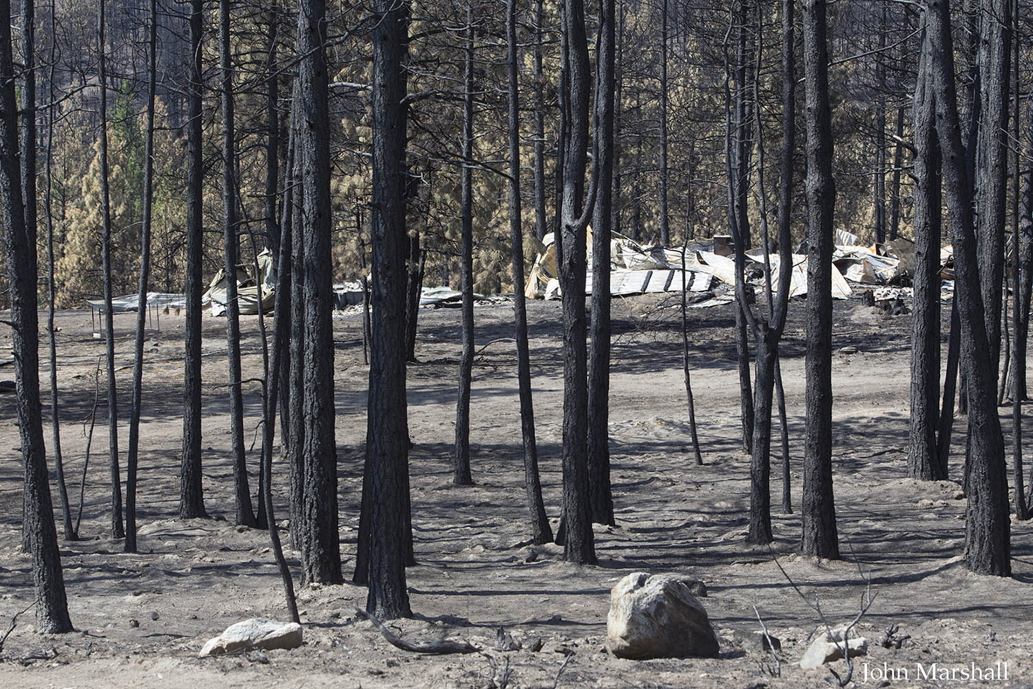 Destruction from Carlton Complex Fire in the French Creek area of the Methow Valley, WA. Copyright 2014 John F Marshall
