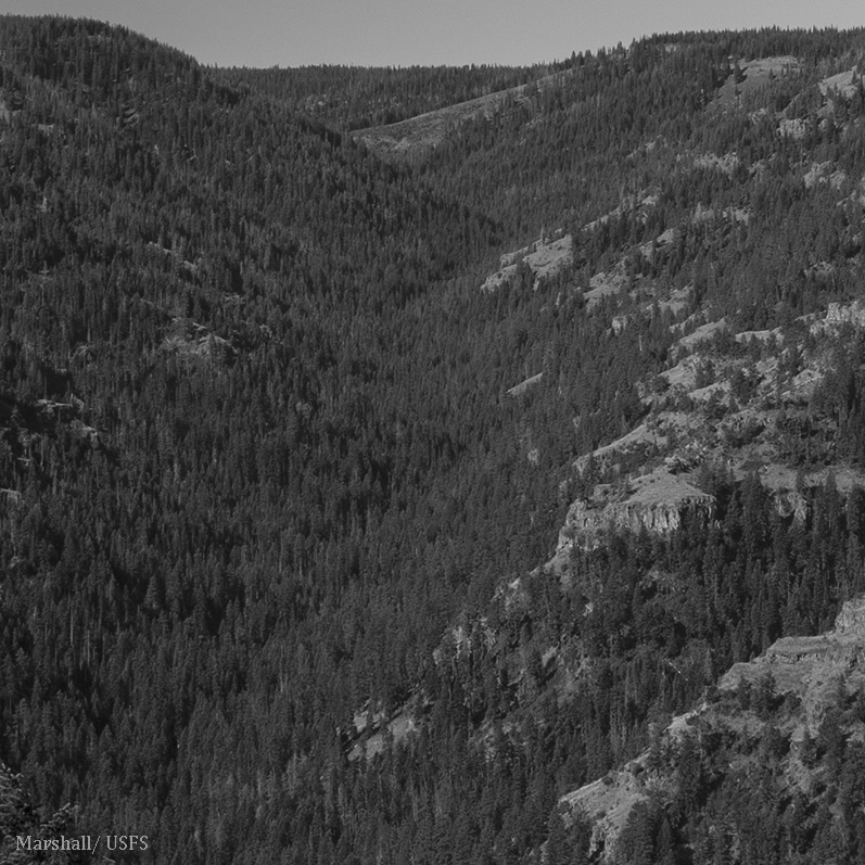 South Fork of North Fork of Asotin Creek in 2014, John F Marshall