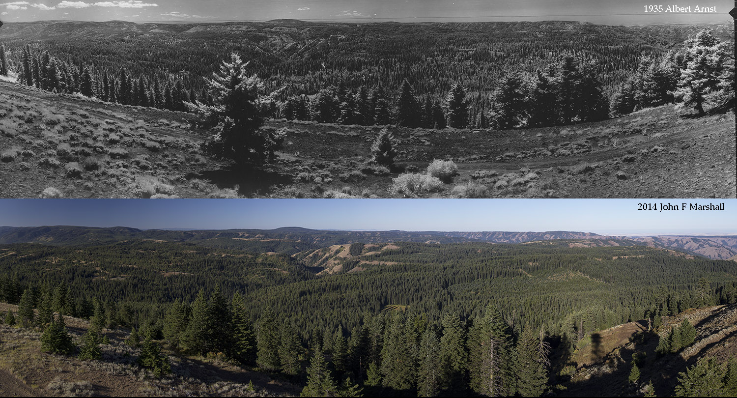 1935 USFS photo by Albert Arnst from the National Archives and Records Administration, Seattle, WA. Bottom photo by John F Marshall from 2014 funded by Umatilla National Forest through Wenatchee Forestry Sciences Lab. 