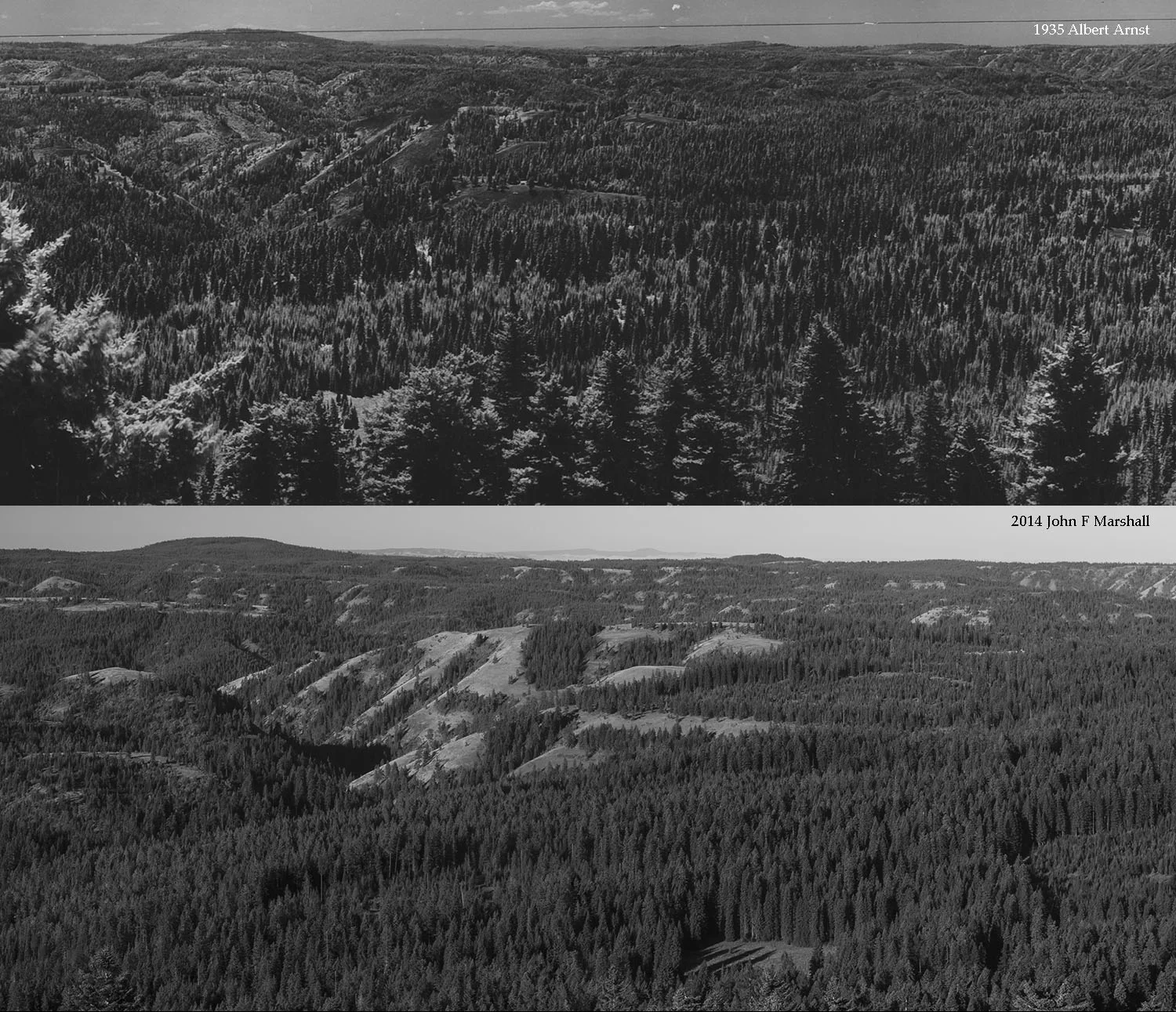 High Ridge-3.jpg