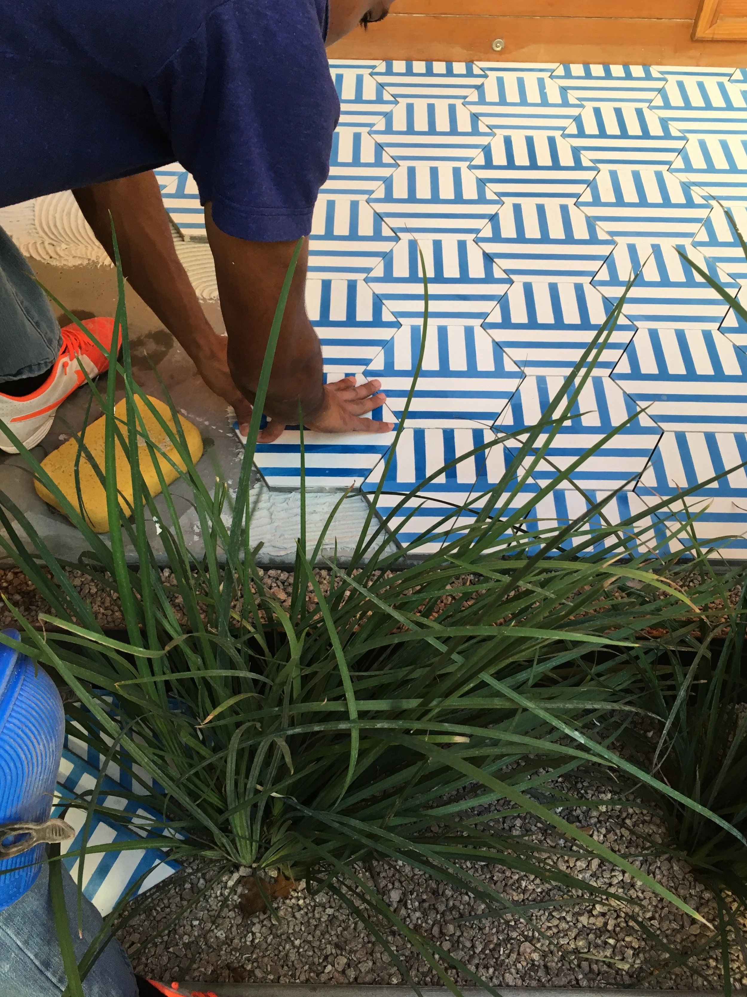 Cement Hexagon - Ross Project2.jpeg