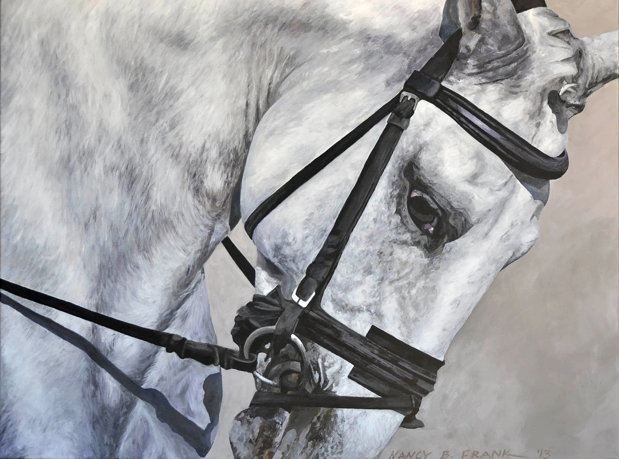 Grey Stallion/Golega Portugal