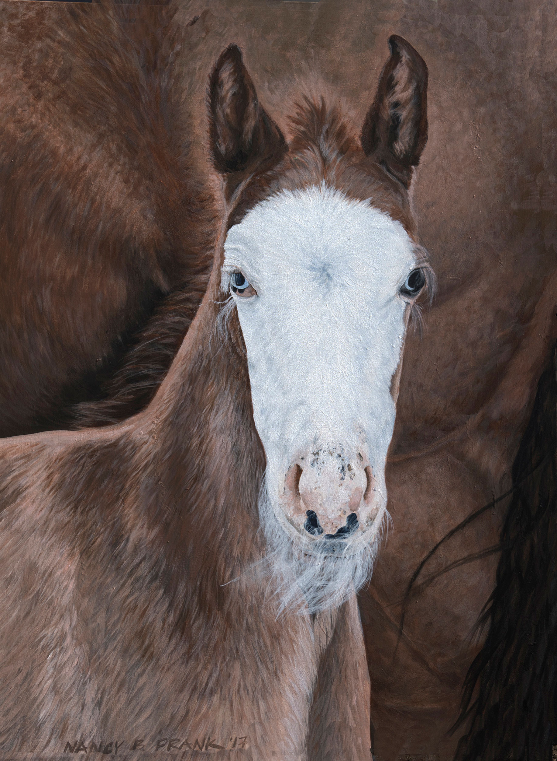 Derby/First Foal